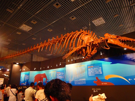 DSC01645.jpg