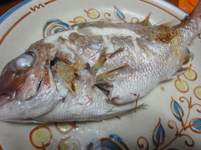 010.jpg