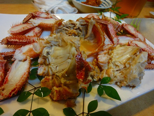 DSC03982.jpg
