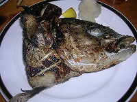 DSCN2462.jpg