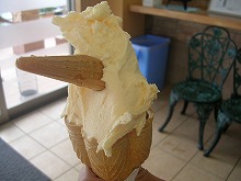 DSCN4079.jpg