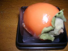 DSCN4084.jpg