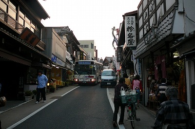 P1000276.jpg