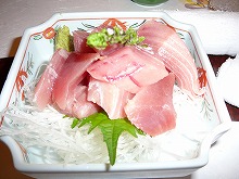 P1000656.jpg