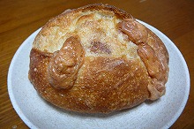 P1010059.jpg