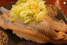 P1010669.jpg