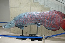 P1020029.jpg