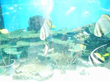 P1020039.jpg