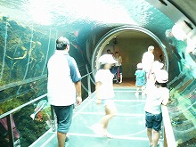 P1020043.jpg