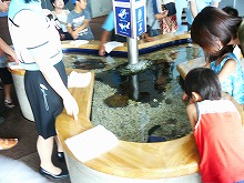 P1020046.jpg