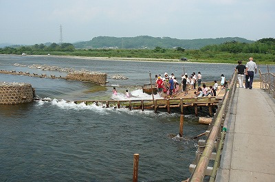 P1020051.jpg