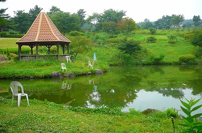 P1030884.jpg