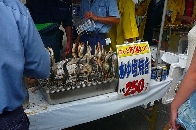 P1040439.jpg