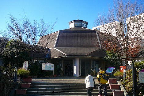 P1050135.jpg