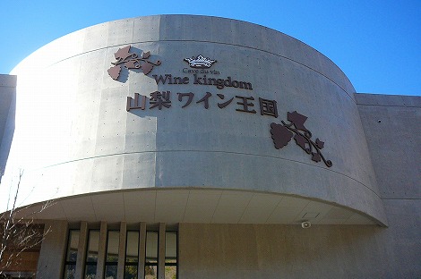 P1050196.jpg