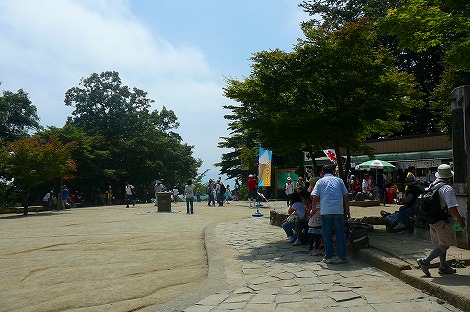 P1060993.jpg