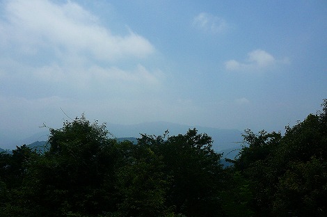 P1060995.jpg