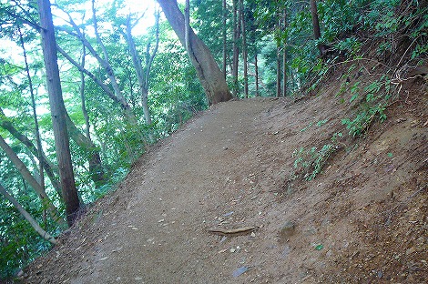 P1070002.jpg