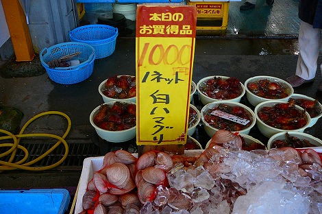 P1090894.jpg