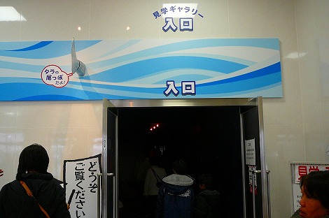 P1090905.jpg